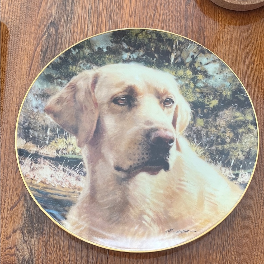 💛 ‘Flash-Yellow Lab’ Collector Plate by Robert Abbett